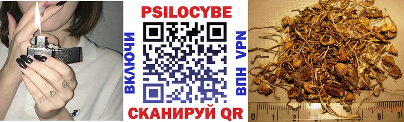 Псилоцибиновые грибы Psilocybe  Ярцево 